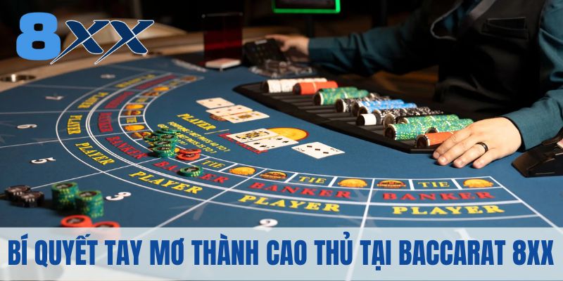 Bí quyết giúp tay mơ thành cao thủ tại game Baccarat 8XX