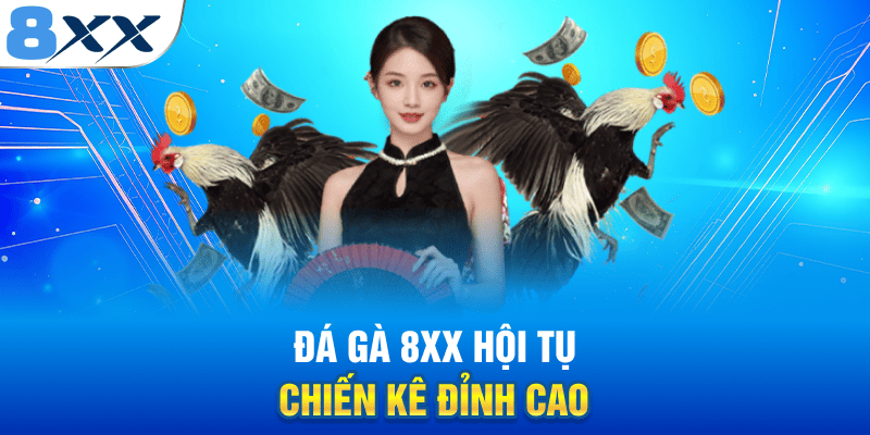 Đá Gà 8XX - Quy Tụ Chiến Kê Đỉnh Cao Nhất Thế Giới