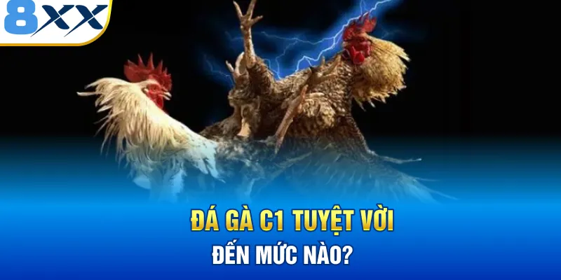 Đá gà C1 8XX tuyệt vời đến mức nào?