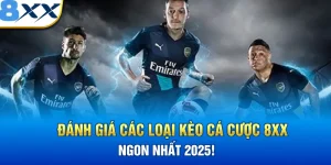 Đánh Giá Các Loại Kèo Cá Cược 8XX Ngon Nhất Năm 2025!