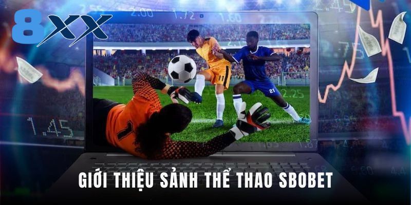 Giới thiệu sảnh thể thao Sbobet